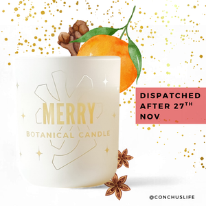 CONCHUS MERRY Botanical Candle in etched white vessel with festive orange and spice illustrations 